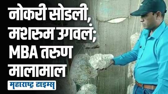 कंपनीत काम करताना मनात खदखद होती, MBAतरुण नोकरी सोडून विकतोय मशरूम; कमवतोय बक्कळ पैसा