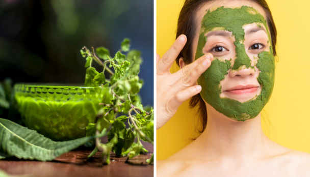 Tulsi Face Pack For Skin: इस तुलसी फेस पैक से एक्ने होगा दूर, पिंपल्स, पिगमेंटेशन से भी पाएं छुटकारा