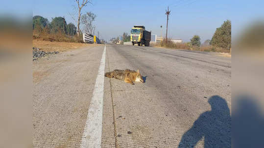 तो पुन्हा उठेल, ती आशेने त्याच्याजवळ तासभर उभी, पण...