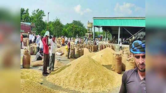 शेतकऱ्यांसाठी गुड न्यूज, पिवळ्या सोन्याला झळाळी, अखेर सोयाबीनच्या दरात वाढ