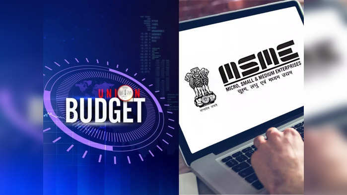 msme sector in budget