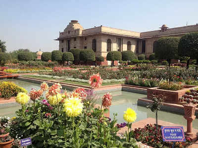 Mughal Garden 2023: दिल्ली में जल्द ही खुल रही है पत्नियों की पसंदीदा जगह, छुट्टी के दिन याद से ले जाएं यहां