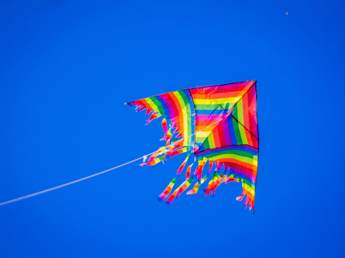 fly kite