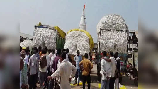 सोयाबीनसह तुरीच्या दरात चढ उतार सुरु, पांढऱ्या सोन्याच्या भावात वाढ, शेतकऱ्यांना दरवाढीची प्रतीक्षा