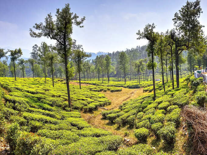 -valparai-tamil-nadu