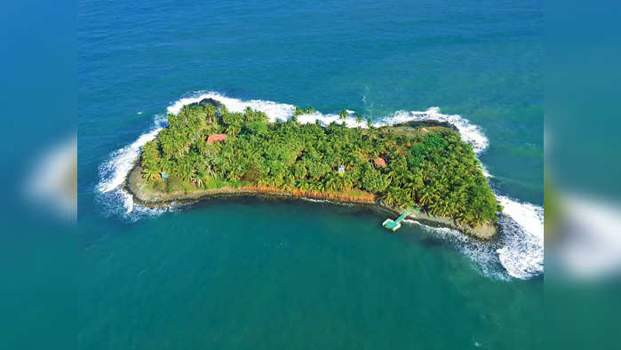 Iguana Island In US For Sale