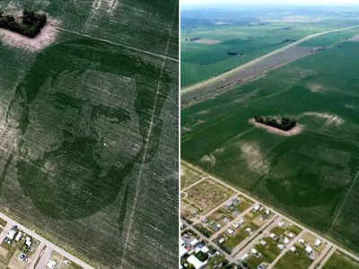 Lionel Messi: किसान ने 124 एकड़ के खेत में ऐसे उगाई फसल, बन गई लियोनेल मेसी की अद्भुत तस्वीर 