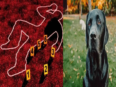 Tamil nadu News: रिश्तेदार ने उसके कुत्ते को कुत्ता कह दिया तो कर दी हत्या