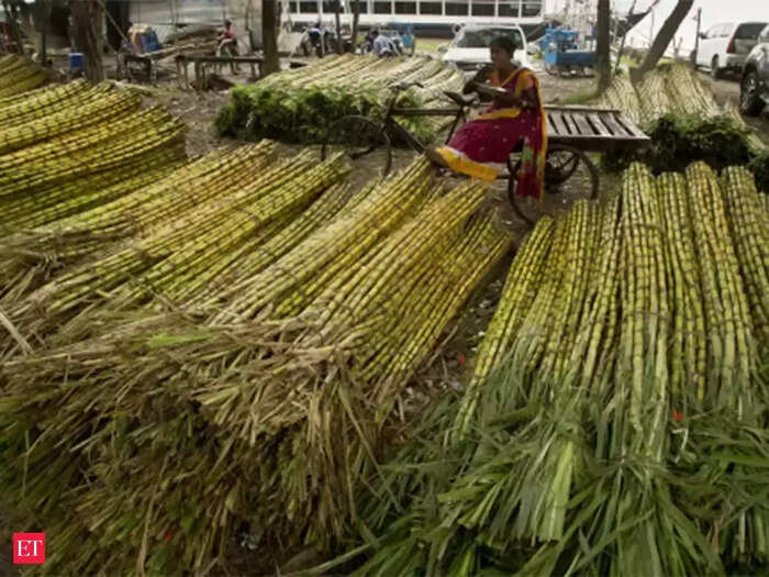 Sugarcane: ফাইল ফটো