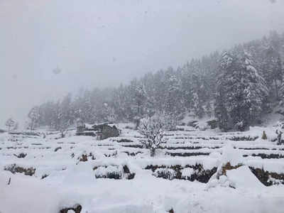 शिमला-मनाली नहीं ये है चंबा का देवीकोठी, जहां पहाड़ों ने ओढ़ ली है सफेद चादर, देखें नजारा 