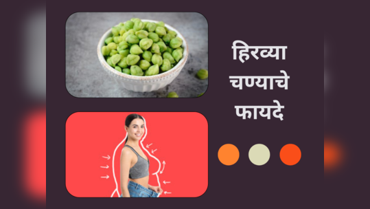 Weight Loss: आहारात समाविष्ट करा हिरवे चणे आणि घटवा पटापट वजन