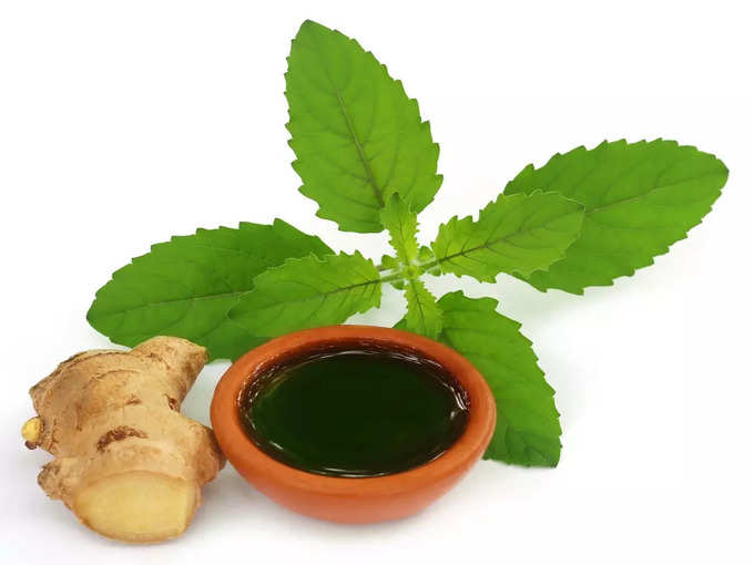 How much to consume Tulsi
