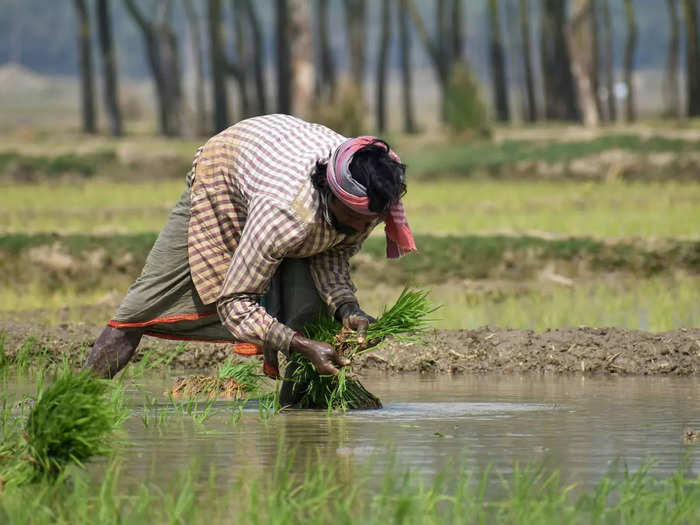 union budget 2023 pm kisan samman nidhi yojana expectations of farmers