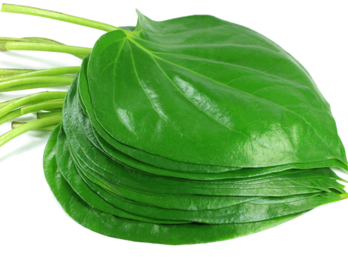 Can betel leaf be eaten during pregnancy?