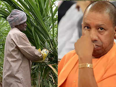 Sugarcane Price: हरियाणा ने बढ़ाया गन्ने का मूल्य, योगी सरकार उठा सकती है बड़ा कदम? गन्ना मंत्री योगी से कर चुके हैं बात 
