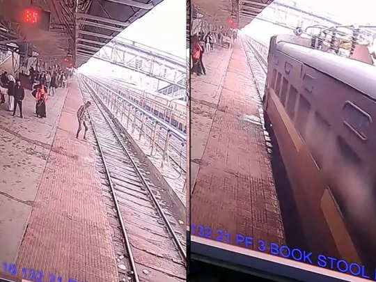Video: कैमरे में कैद हुआ मौत का Live मंजर! आंख पर पट्टी बांध आया शख्‍स... फिर ट्रेन के सामने लेट गया