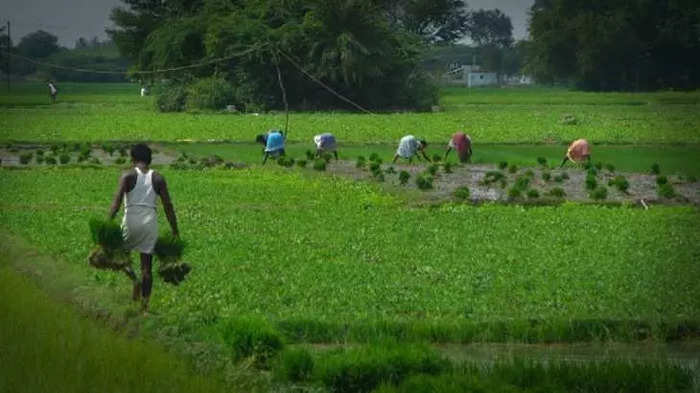 agriculture sector - et tamil