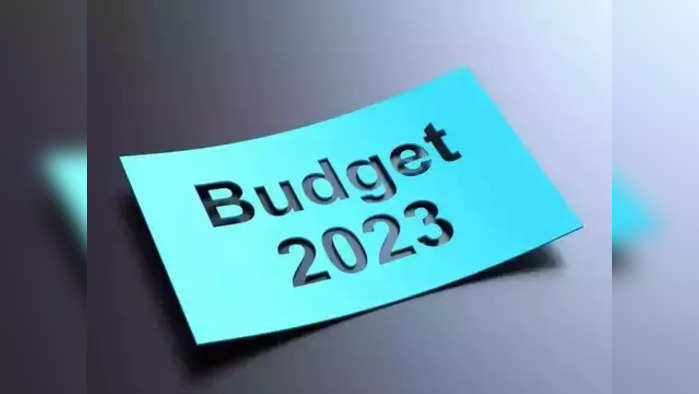 Budget 2023 for commonman in details