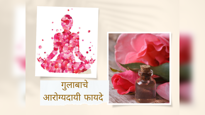 Rose Day 2023 : वेट लॉस, एनर्जी बुस्टर, स्किन ग्लो गुलाबाचे ८ जबरदस्त आरोग्यदायी फायदे