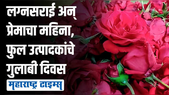 'रोज डे'च्या मुहुर्तावर गुलाबानं खाल्ला भाव, निशिगंधही तेजीत; फुल व्यापाऱ्यांमध्ये आनंदी-आनंद