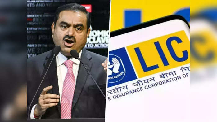 lic and central government says investors are safe and there is very limited investments in lic stocks