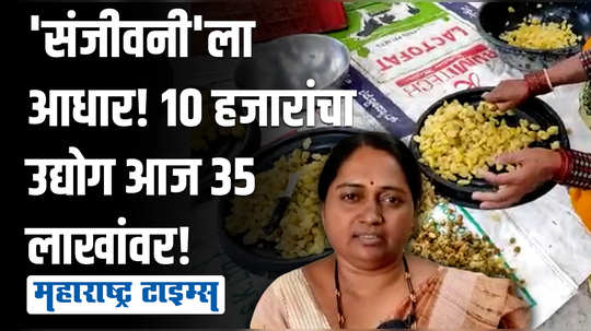 गृहिणी ते उद्योजिका; १४ वर्षांची मेहनत, आवळ्याच्या वेगवेगळ्या उत्पादनाची राज्यासह परराज्यात मागणी