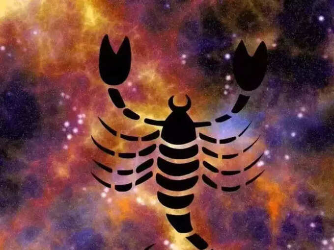 वृश्चिक रास : जोडीदाराची साथ