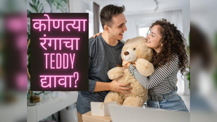 Teddy Day 2023: मुलींना आवडतात ‘या’ रंगांचे टेडी, नातं टिकवण्यासाठी रंगाचे महत्त्व जाणून घ्या