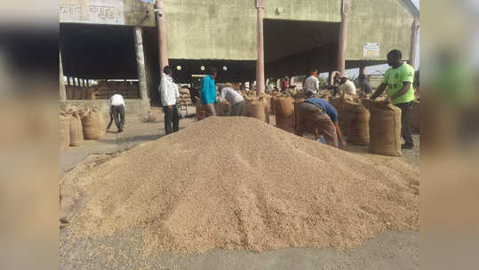 शेतकऱ्यांच्या पिवळ्या सोन्याला झळाळी, सोयाबीनच्या दरवाढीचा ट्रेंड कायम, जाणून घ्या नवे दर