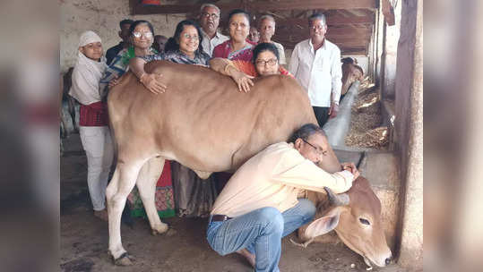 गळाभेटीने झाले देवाचे दर्शन! गो प्रेमींचा व्हेलेंटाइन्स डे चर्चेत, गायीची गळाभेट घेत साजरा केला दिवस