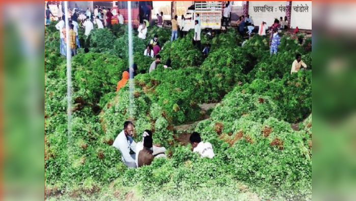 यार्ड ते बॅकयार्ड