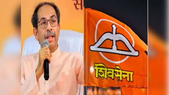 Shivsena Symbol: निवडणूक आयोगाच्या निकालातील तीन विसंगती ठाकरेंच्या पथ्यावर पडणार, निर्णयाला स्थगिती मिळणार?