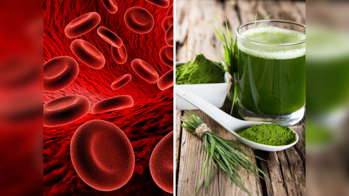 Blood Cleansing Foods : ही 5 लक्षणं सांगतात रक्त झालंय दुषित, विषारी घटकांचा कणन् कण बाहेर फेकतात हे 8 पदार्थ