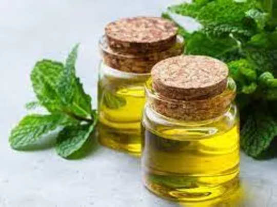 mentha oil