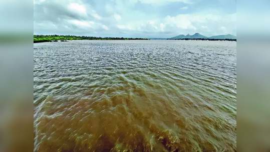 मध्य वैतरणाचे पाणी आज पेटणार; धरणाच्या प्रवेशद्वारावरच प्रकल्पग्रस्तांचे धरणे अन् बेमुदत उपोषण