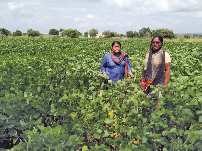 kheti kisani beed women