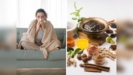 H3N2 Virus Cough Fever Home Remedies: नव्या व्हायरसचं जगावर सावट, ताप व खोकला सुरू होताच करा हे 8 घरगुती उपाय