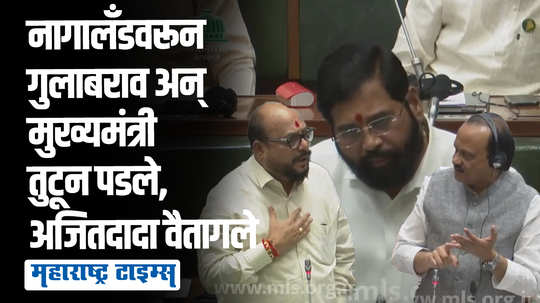 ५० खोके, नागालँड ओक्के? गुलाबरावांनी डिवचलं, अजितदादा संतापले; मुख्यमंत्र्यांनीही फिरकी घेतली