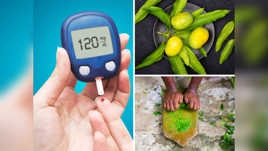 Reduce Blood Sugar : इन्सुलिनने खचाखच भरली आहेत आंब्याची पानं, असा करा वापर, गोड खाऊनही होणारच नाही डायबिटीज