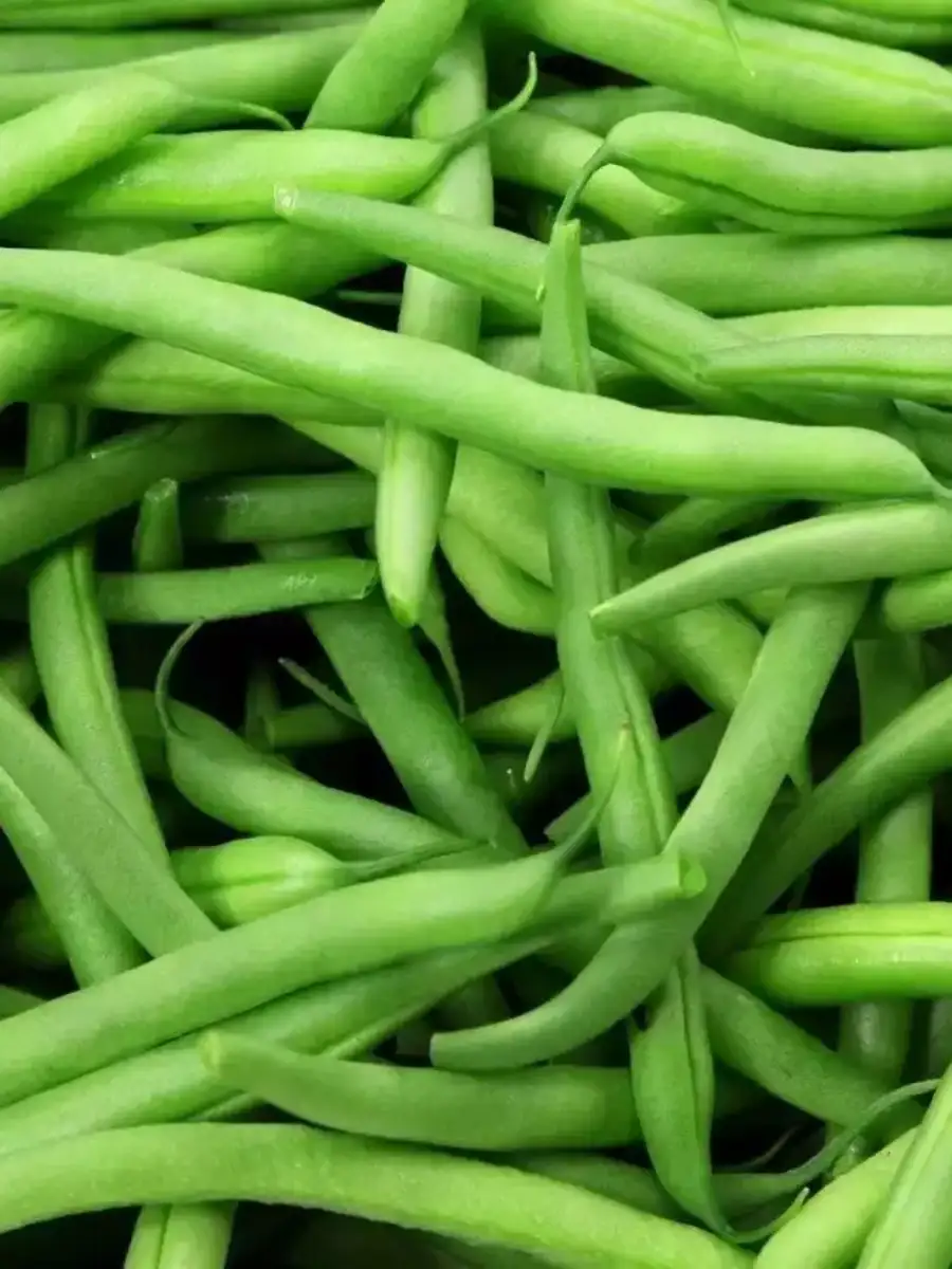 10 Best Anti Cancer Vegetables that Can Kill Cancer Cells in the Body