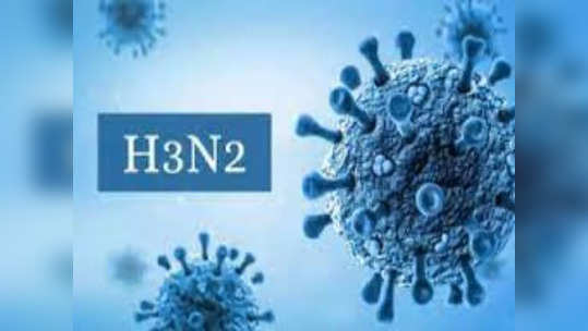 H3N2 Virus Updates : टेन्शन वाढलं! अहमदनगरनंतर पुण्यात H3N2 व्हायरसचा रुग्ण दगावला