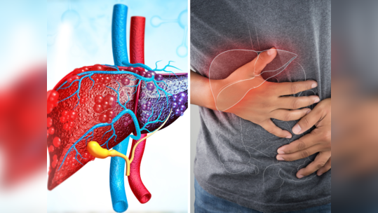 Liver Damage: पोटाच्या या भागावर स्पर्श करून ओळखा लिव्हर झालं खराब, ही 9 लक्षणं दिसल्यास ताबडतोब करा हे 5 उपाय