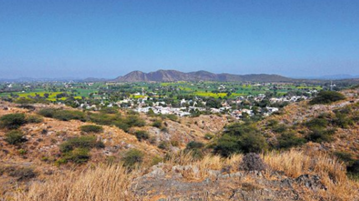 aravali green wall project