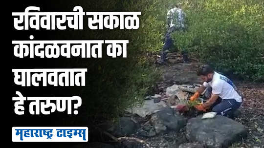 कांदळवन संवर्धनासाठी तरुणांचा पुढाकार, नागरिकांचीही मिळतेय साथ