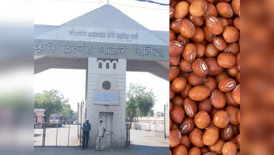 तुरीच्या दरवाढीनं शेतकऱ्यांना तारलं, वाढीचा ट्रेंड मार्चमध्येही कायम, बाजारात चित्र कसं होतं?