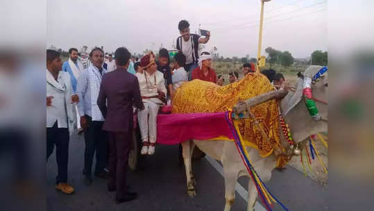 बैलगाडीतून नवरदेवाचा प्रवास, ऊंटासह घोड्यावरुन वऱ्हाडी, डीजेच्या तालावर नाच, अनोखी वरात सगळे बघत राहिले