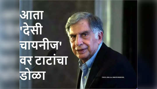 टाटांना 'देसी चायनीज'ची भुरळ, अब्जाधींची कंपनी ताब्यात घेण्यासाठी ७ कंपन्यांसोबत स्पर्धा