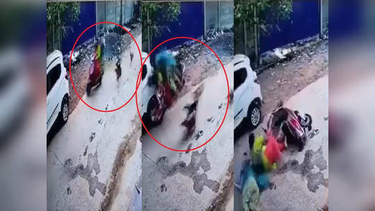 CCTV : भटक्या कुत्र्यांपासून वाचण्याचा प्रयत्न, स्कूटर कारवर धडकली, दोघी बहिणींसह चिमुकला जखमी