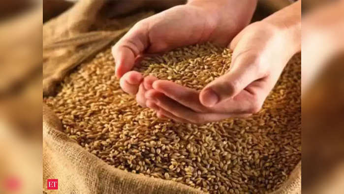 Wheat: ফাইল ফটো