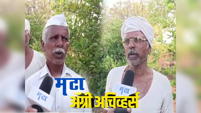 शेतकरी भावांची लिंबू शेतीतून लाखोंची कमाई 